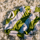 Lightweight Crewneck Jumper - Apple Green Stripe